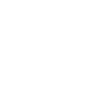 SKINVIVE logo